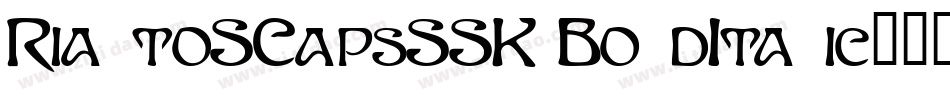 RialtoSCapsSSK BoldItalic字体转换
